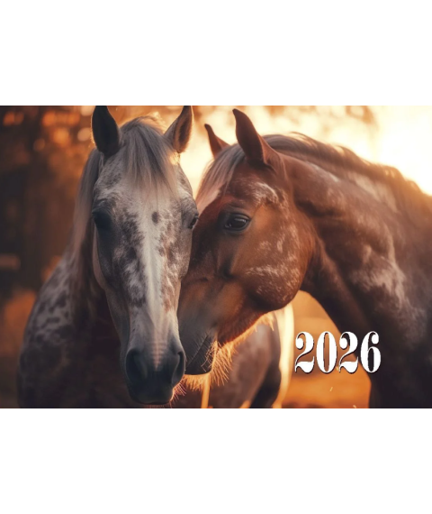 Calendar de perete CAII ROMANTICI, 2026, cu 3 sectii